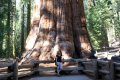 sequoia_img_4688.jpg